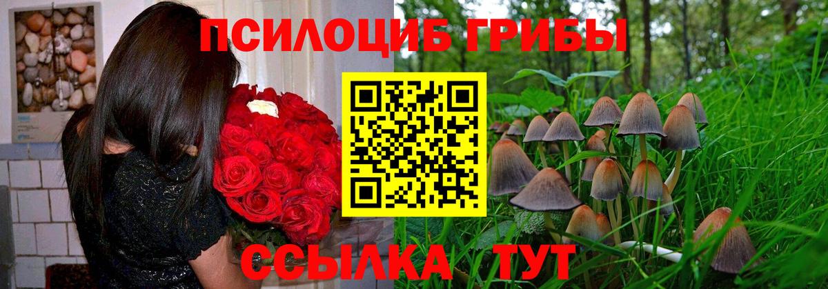 Валуйки  Псилоцибиновые грибы мухоморы  Псилоцибиновые грибы мухоморы  Вход с VPN 