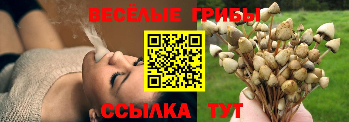Псилоцибиновые грибы прущие грибы Валуйки